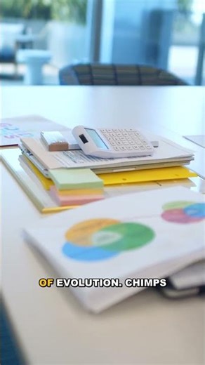 Chimpanzee Fossil Shakes Up Evolution