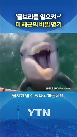 Dolphin's Awe-Inducing Skills #shorts / YTN