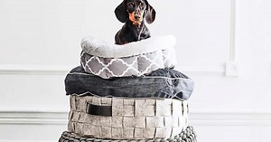 10 most stylish dog beds for all breeds