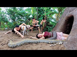 Girl and Dog Taken by Giant Python – Hunters Fight Back