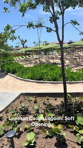 Lopesan Caoba Lagoon Punta Cana soft opening - new resort overview