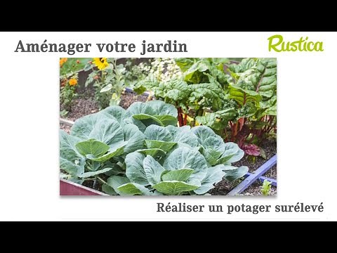 Step by step: create a raised bed vegetable garden