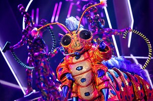 Masked Singer: Das waren die Kostüme in Staffel 2