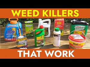 10 Best Weed Killers for UK Gardeners (2026 Review)