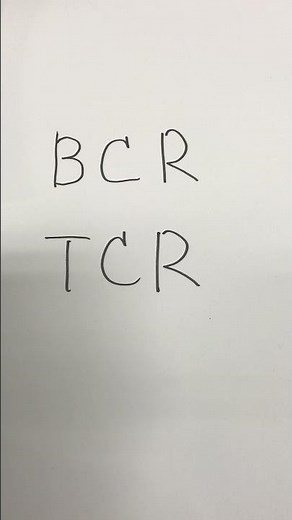 BCR and TCR【 biology lecture 】