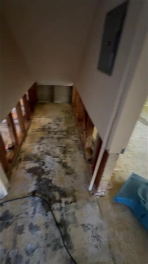 SDR - Water damage professionals in San Diego
