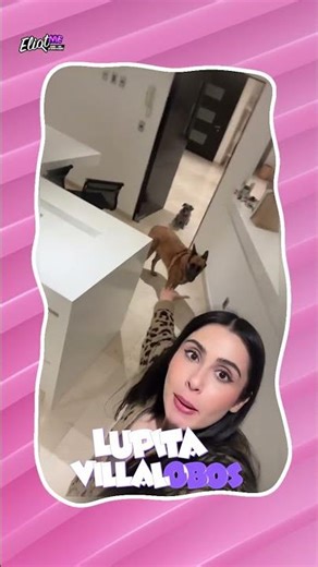 MASCOTAS DE LOS TIKTOKERS QUE AMAMOS CON LOCURA: HERMANAS JM, LILY GARCÍA, QUESITO, ZACH Y MÁS