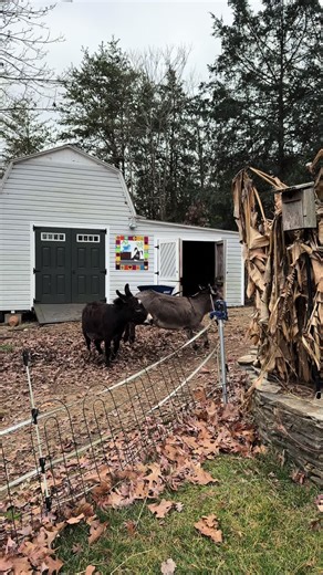 #fatdonkey #weightlossmotivation