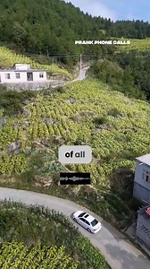 15K views · 439 reactions | Told Her the Bank Now Gives Literal Coins Every Time You Swipe Your Card | Prank Phone Calls #prank #prankcall #prankphonecalls | Prank Phone Calls | Facebook