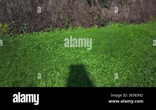 Drone starts over its shadow on grass and reveals the white Baroque facade and dome of Lisbons National Pantheon - Santa Engracia - in Alfama, historic landmark and church Stock Video Footage - Alamy