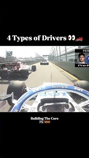 4 Types of Drivers in F1 👀🏎️