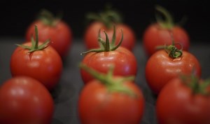 Tomatoes & Strawberries Can Cause Allergy: Study