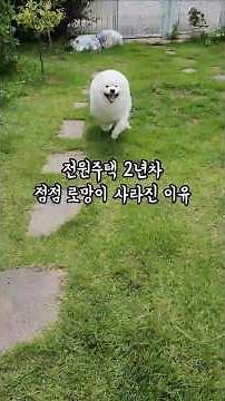 전원주택 2년차.. 점점 로망이 사라진 이유