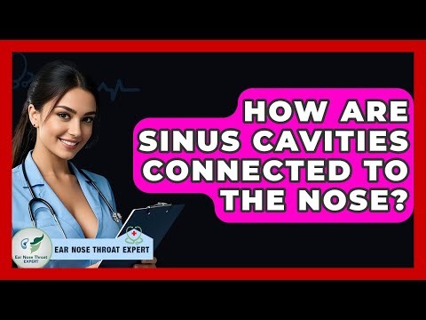 How Are Sinus Cavities Connected To The Nose? - Ear Nose Throat Expert