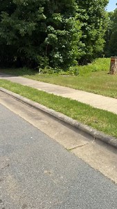 12K reactions · 701 comments | Jesus have we failed our son. All his bikes have had hand brakes and he can’t wrap his mind around these pedal brakes . But not him saying this is what history class is for. I am crying . #oldschoolbikes #newschoolkids #parenting #80skid #tabithabrown | Tabitha Brown | Facebook