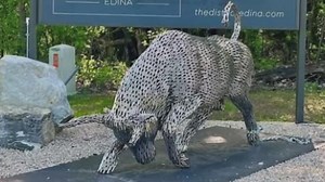 Bull statue outside District Edina stolen; owner offers reward