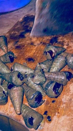 Fresh Seashell Seafood Dish