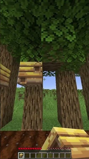 How to Build the Most Efficient Farm in Minecraft? 💎🌾