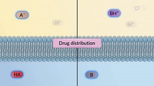 Video: Drug Absorption Mechanism: Passive Membrane Transport