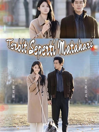 Terbit Seperti Matahari Pada hari pengangkatan karyawan tetap, Ruan Chao Yang justru terkena pemutusan hubungan kerja dan secara tak terduga bertemu dengan Cheng Huai Zhou, yang mengubah arah hidupnya. Berkat rekomendasinya, Ruan Chao Yang mendapatkan kesempatan di perusahaan konsultan papan atas Maxwell dan bertahan dengan ketangguhan luar biasa hingga bertransformasi dari karyawan baru menjadi analis bisnis andal. Di tengah persaingan dunia kerja, benih cinta tumbuh di antara mereka hingga akh