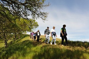 Pleasanton’s Callippe Preserve Golf Course Named A Best Value California Course by Greenskeeper.org