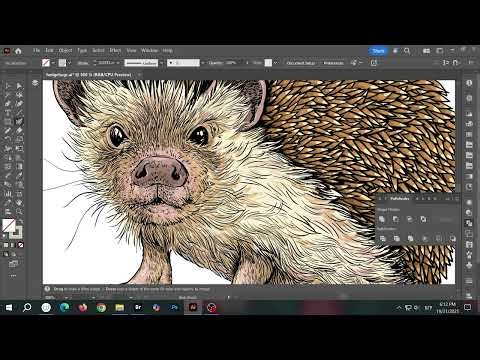 From sketch to vector: Hedgehog