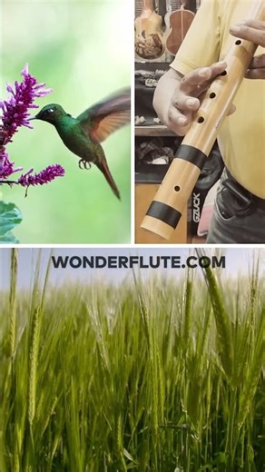 Native American Flute from Bamboo key in Fa #flutemusicmeditation