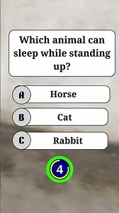 99% Get This Easy Animal Quiz Wrong! 🐴 #shorts
