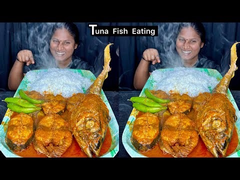 Tuna Fish Eating Challenge | Video 210