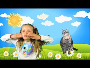 I Have A Pet | Animal Song | Super Simple Songs for kids