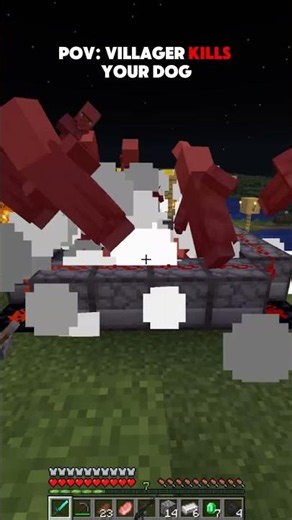 Revange on Villager