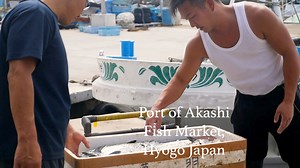 3.3K views · 240 reactions | Akashi fishing port is known in Japan...