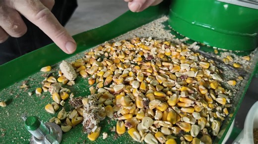 Built for big jobs – the JAPS Jumbo Grain Cleaner handles up to 30 tons per hour using aspirator technology to clean maize, beans, wheat, and more. Watch this explainer to see how it removes impurities like stalks, cob pieces, and Diplodia-infected grains 🌽 ⚙ 👉 https://japsgraincleaners.co. za/ #JumboGrainCleaner #HighVolumeCleaning #JapsGrainCleaners #MaizeProcessing #AgriTech | Just another problem solver