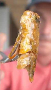 I Tried White Anchovies in a Can #seafood #tinnedfish #anchovy