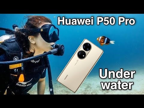 Huawei P50 Pro Underwater photography