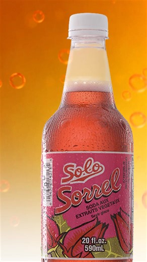 Pick your fav out of the lineup - which flavour of SOLO DRINK has you coming back for more every time? #solobeverages #solo #grabasolo #trinidadandtobago #solodrink | Solo Beverages | Facebook