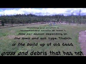 Kitsap Lawn Thatch and Aerate, Hoyt's Hydroseeding Thatch and Aerates a Kitsap Lawn