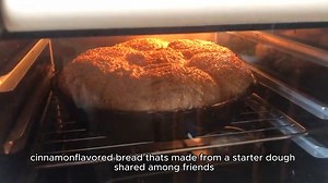 amish friendship bread recipe