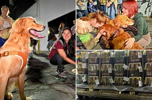 31 dogs rescued from China dog meat farm arrive in US after year wait