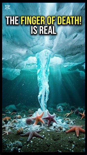 This Ice Can Kill Everything It Touches…😳😳😳 #shortvideo #facts #viral #shorts