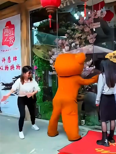 Funny Bears Go Viral on TikTok