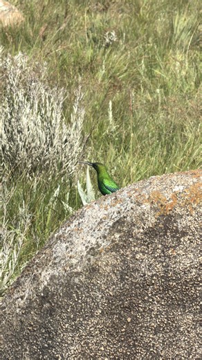 Climbing a Mountain: Lessons on Life's Journey