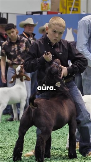 He Has the Best Aura 🔥