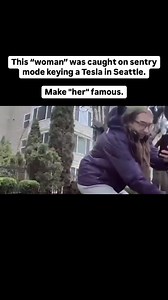 11K views · 5.4K reactions | This “woman” was caught on sentry mode keying a Tesla in Seattle. Make “her” famous. | TAKE THIS VIRAL | Facebook