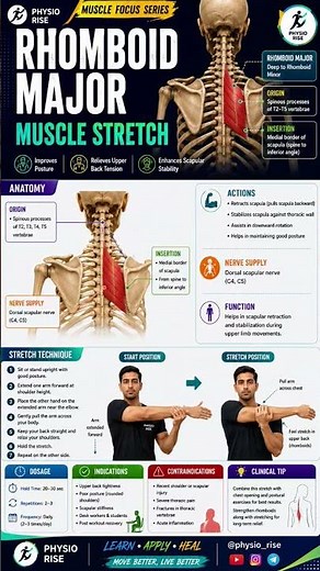 Rhomboid Major Muscle Stretch | Fix Upper Back Pain & Improve Posture | Physiotherapy