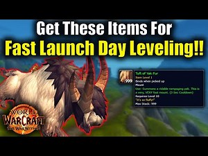 Items You NEED For War Within Speedleveling!