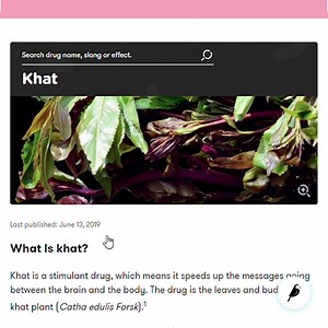 What are synthetic cathinones made from? How does it effect the body and interact with other drugs? The answer is just the start of a journey of learning more on the ADF Drug Wheel. | Alcohol and Drug Foundation