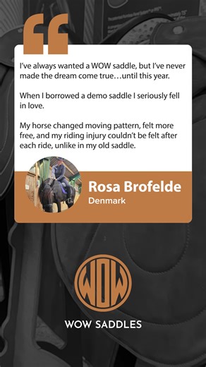 2.4K views · 24 reactions | When the right saddle changes everything - for both horse and rider. Here’s a lovely testimonial from a new WOW owner in the making… | WOW Saddles | Facebook