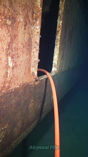 The cable moving through an old wreck was strange enough. 935 Then the crew followed it into the seabed. But the part I'd watch twice happens AFTER the cable goes slack. 38 What moved the wreck? 14 Al concept / fictional reconstruction. #abyssalfiles #deepsea #shipwreck #ROV #OceanMystery #NorthCarolina #UnderwaterDiscovery #fyp #usa #fyp #California #CityTasteTest #OceanScience