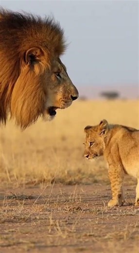 #shorts Oh my god. I got slapped so hard I didn't miss a single blow.